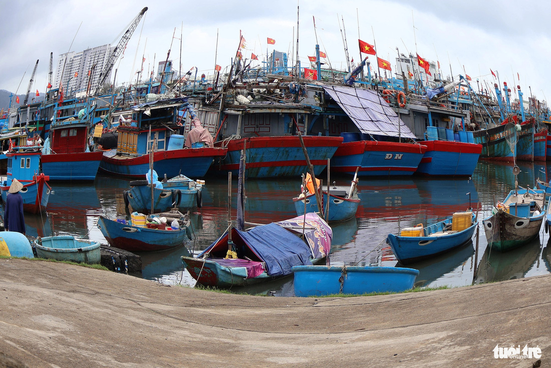 Âu thuyền Thọ Quang - Ảnh: LÊ TRUNG