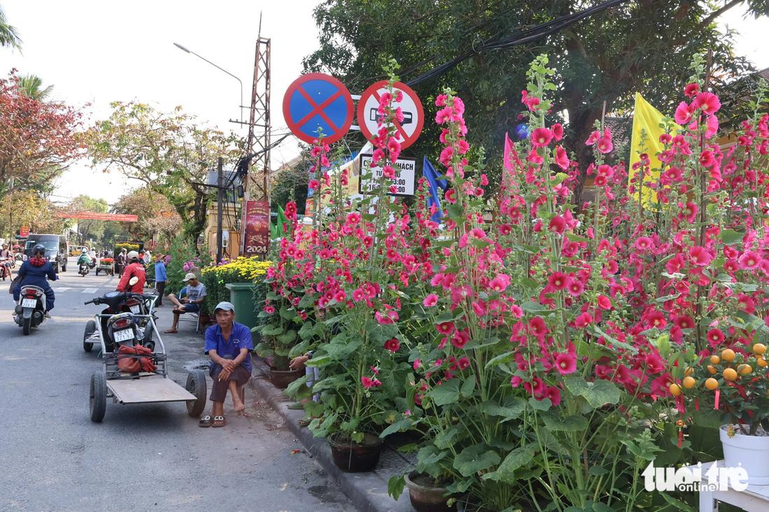 Ngập tràn sắc hoa trên phố Hoàng Diệu - Ảnh: LÊ TRUNG