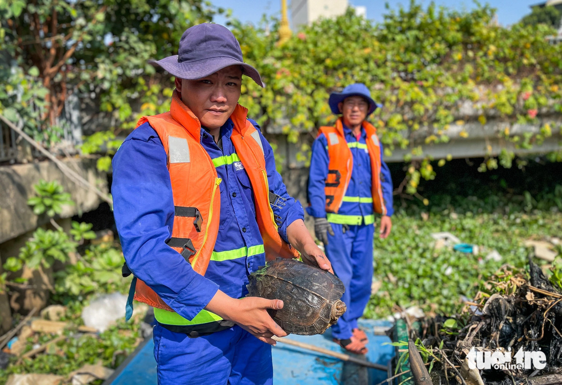 Sáng nay, trong lúc thu gom rác trên kênh, các công nhân bất ngờ phát hiện 1 con rùa đang bò lổm ngổm trong đống rác 