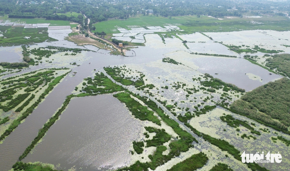Thành phố Tam Kỳ kiến nghị tỉnh lập hồ sơ để hình thành khu đất ngập nước và đa dạng sinh học sông Đầm, hướng đến một công viên thiên nhiên ở sông Đầm - Ảnh: LÊ TRUNG