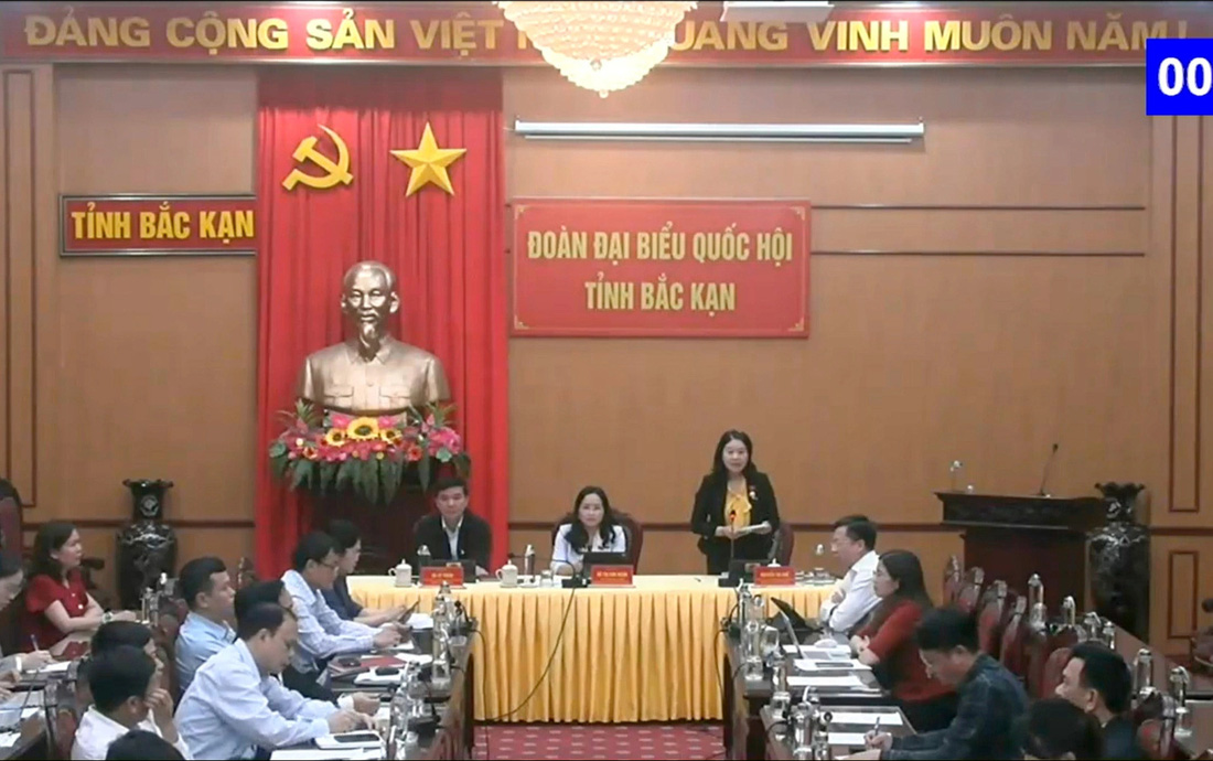 Đại biểu Nguyễn Thị Huế - Đoàn đại biểu Quốc hội tỉnh Bắc Kạn