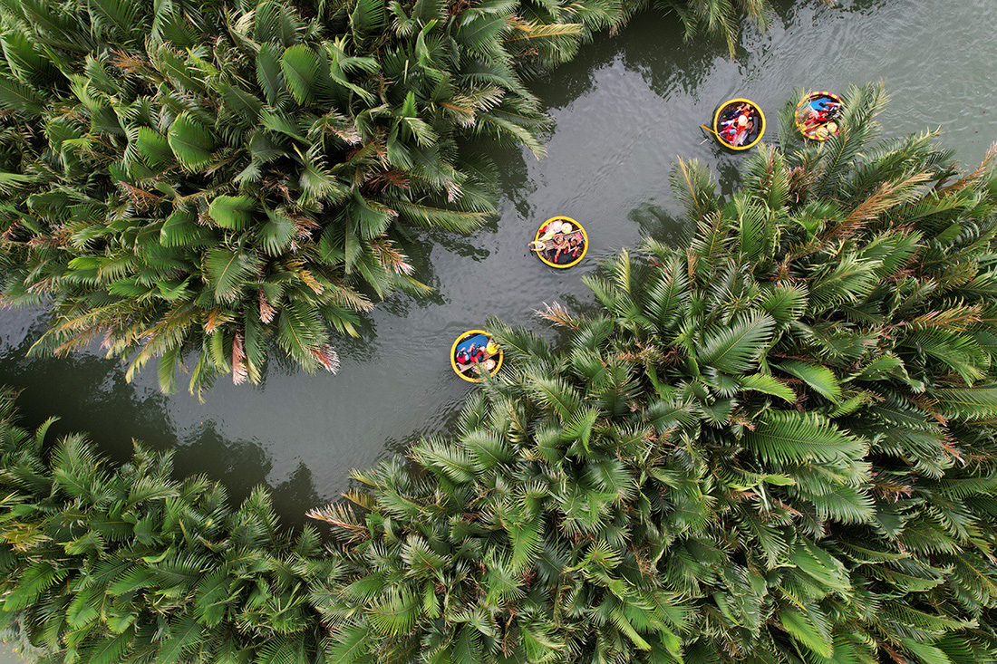 Một lạch sông nước được dùng làm lối di chuyển cho thuyền thúng tham quan rừng dừa - Ảnh: B.D.