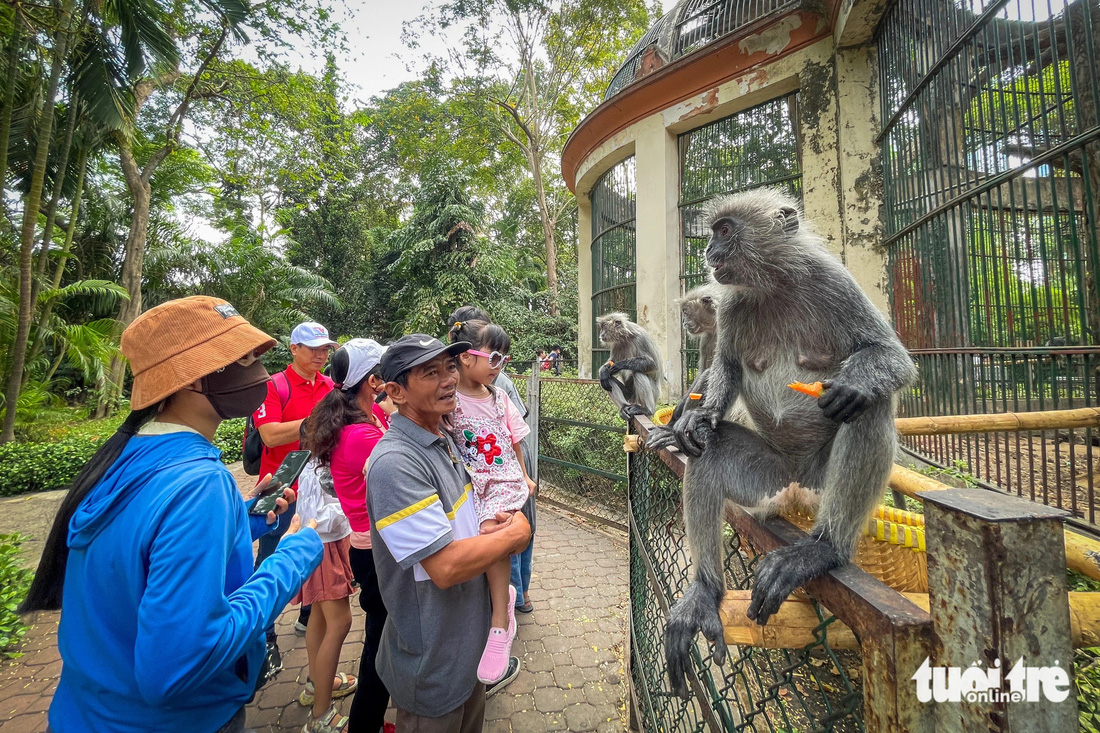 Các loài động vật ở Thảo cầm viên thân thiện với du khách