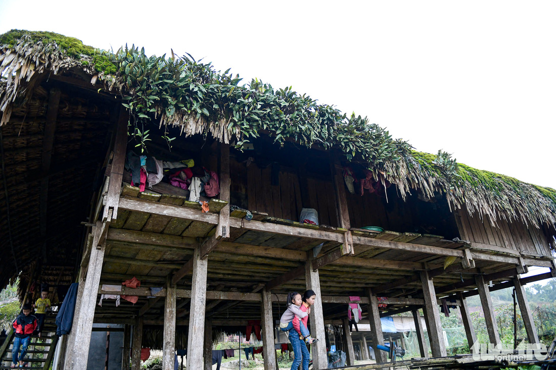 Nhiều mái nhà không chỉ mọc rêu mà còn là nơi sống của cả cây dương xỉ. Dù mái ngói, mái tôn ngày càng được chuộng hơn, nhưng ở Xà Phìn, nhà sàn mái rêu vẫn được bà con gìn giữ