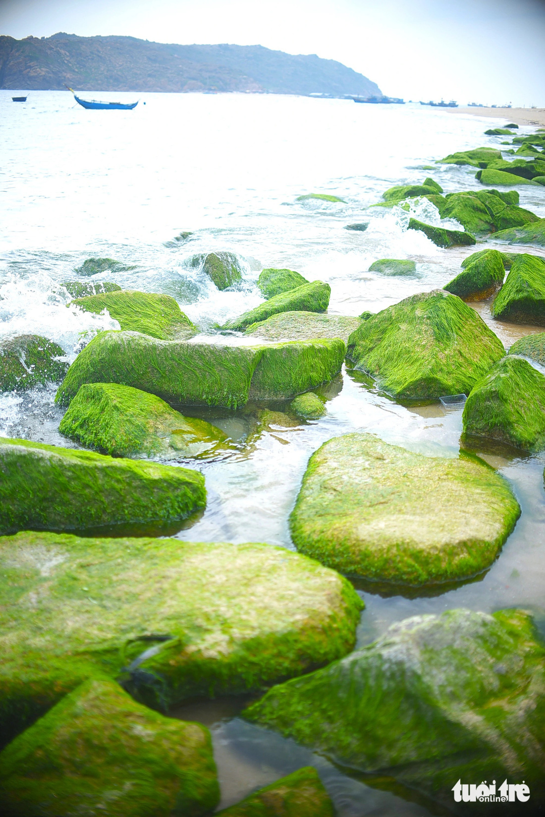 Những phiến đá phủ đầy rêu xanh mướt kéo dài theo bờ tạo thành điểm nhấn lạ mắt cho người dân và du khách - Ảnh: LÂM THIÊN