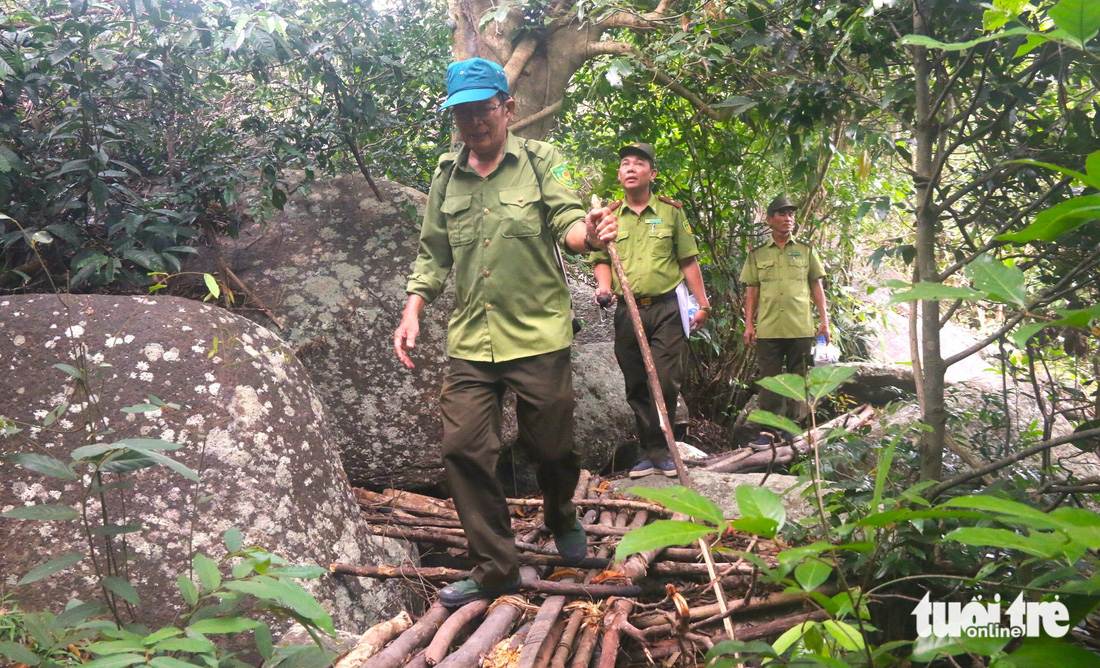 Cán bộ kiểm lâm thuộc Ban quản lý rừng đặc dụng Đèo Cả (thị xã Đông Hòa, tỉnh Phú Yên) tuần tra khu vực rừng bị người dân tự ý chặt phá, đào bới để tìm trầm - Ảnh: NGUYỄN HOÀNG