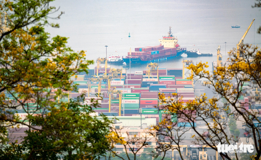 Một góc nhìn từ bán đảo Sơn Trà về cảng Tiên Sa - Ảnh: TRẦN MINH TRÍ