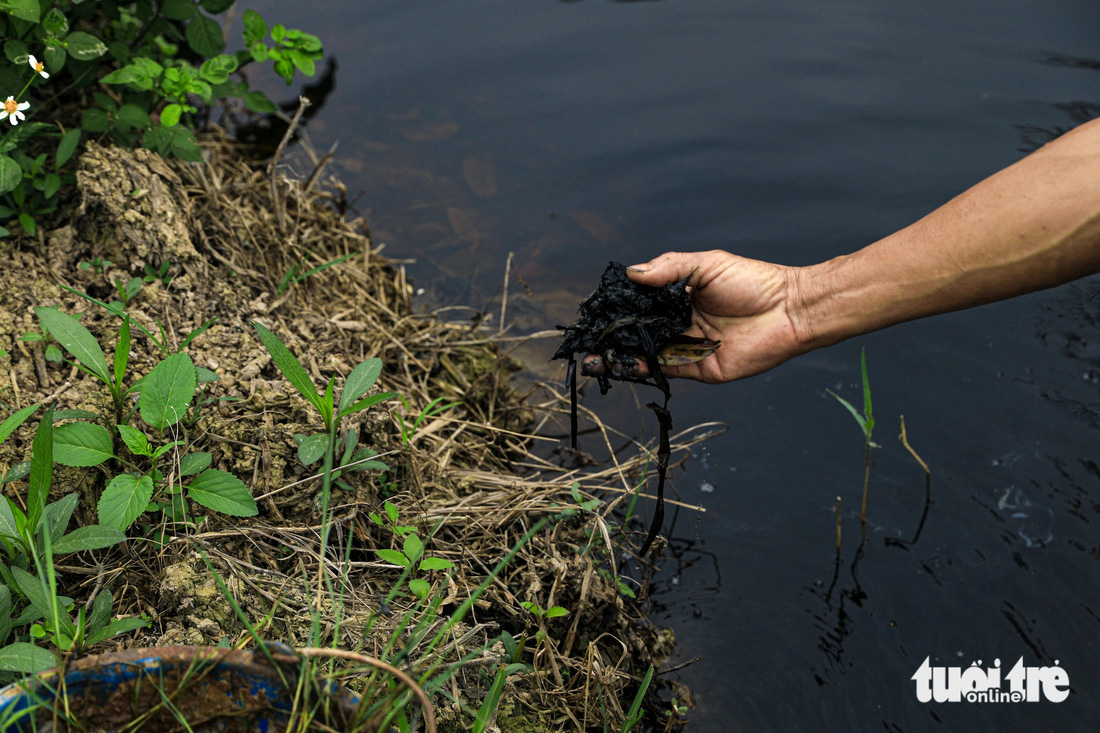 Bùn ở kênh nước thải có màu đen, nổi váng nhớt như dầu luyn