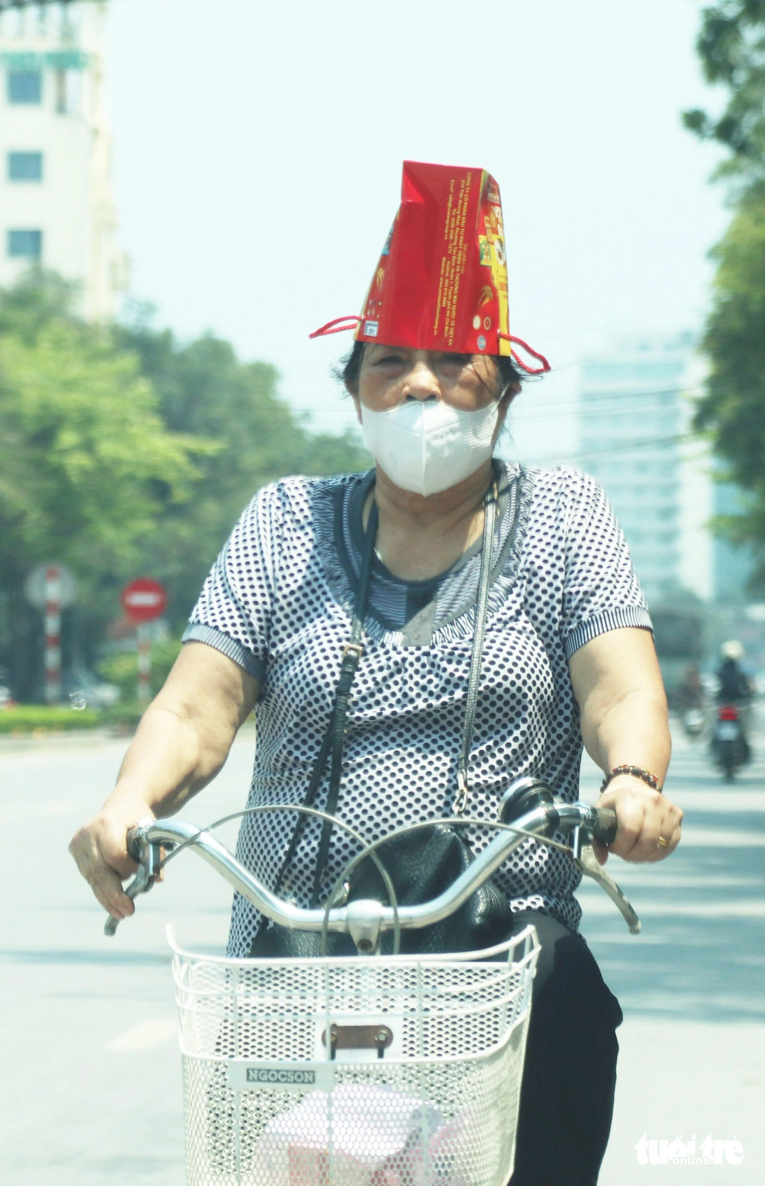 Một cụ bà dùng vỏ hộp bánh làm mũ chống nắng trên đường Trần Phú, TP Vinh - Ảnh: DOÃN HÒA