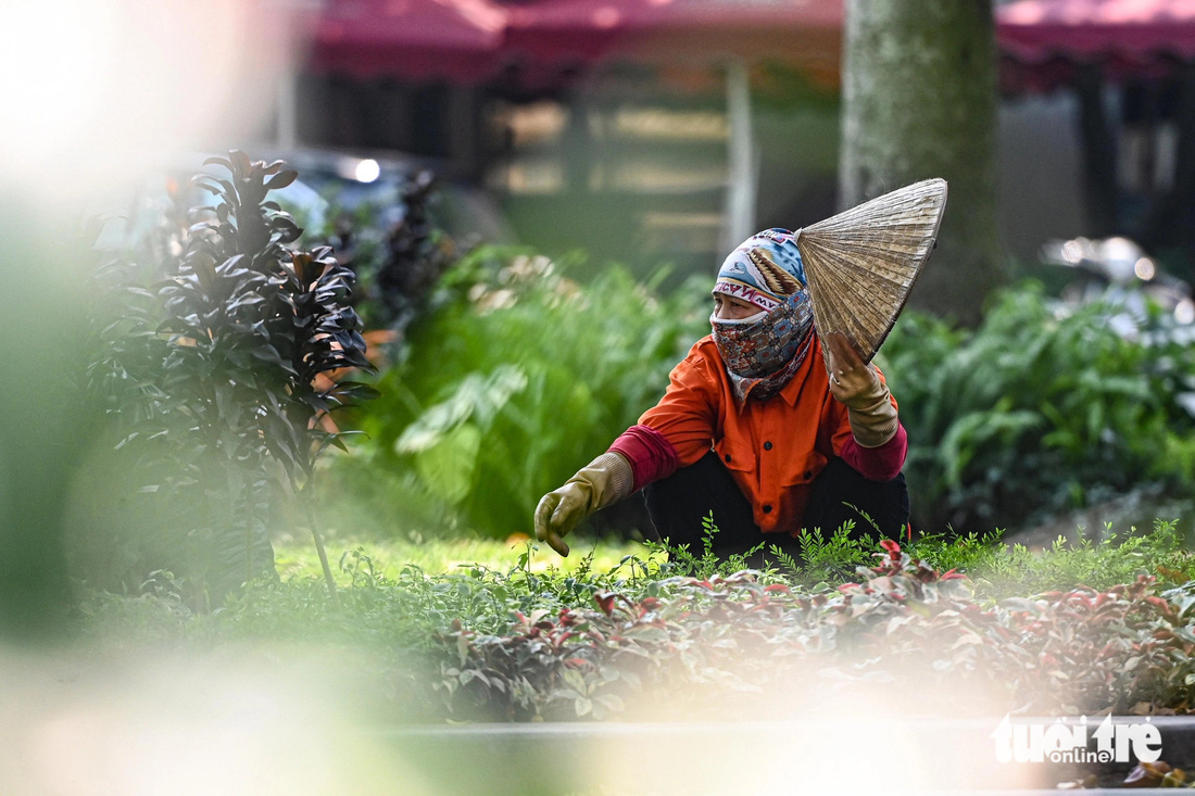 Người lao động ngồi trong bóng râm để tránh cái nóng gay gắt ở Hà Nội - Ảnh: HỒNG QUANG