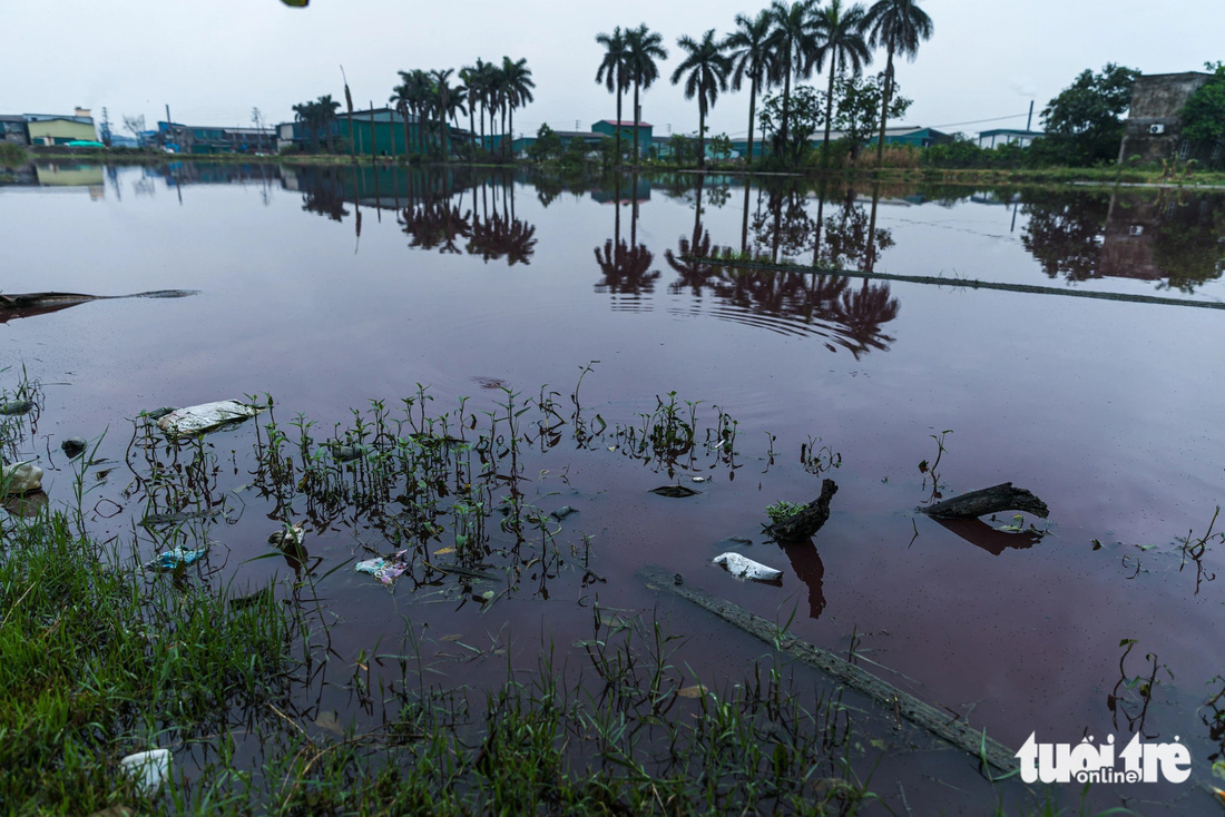 Nước thải màu đen, pha lẫn màu đỏ tươi tại một bãi đất trống trong cụm công nghiệp Phú Lâm 