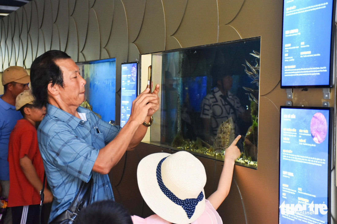 Du khách ghi lại những hình ảnh về các loài sinh vật biển trong  bể kính - Ảnh: TRẦN HOÀI