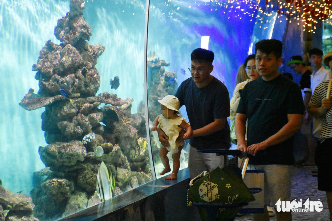 Đường hầm xuyên núi Cảnh Long, bao quanh là thế giới sinh vật biển đa dạng gây thích thú cho những ai đặt chân đến Bảo tàng Hải dương học - Ảnh: TRẦN HOÀI