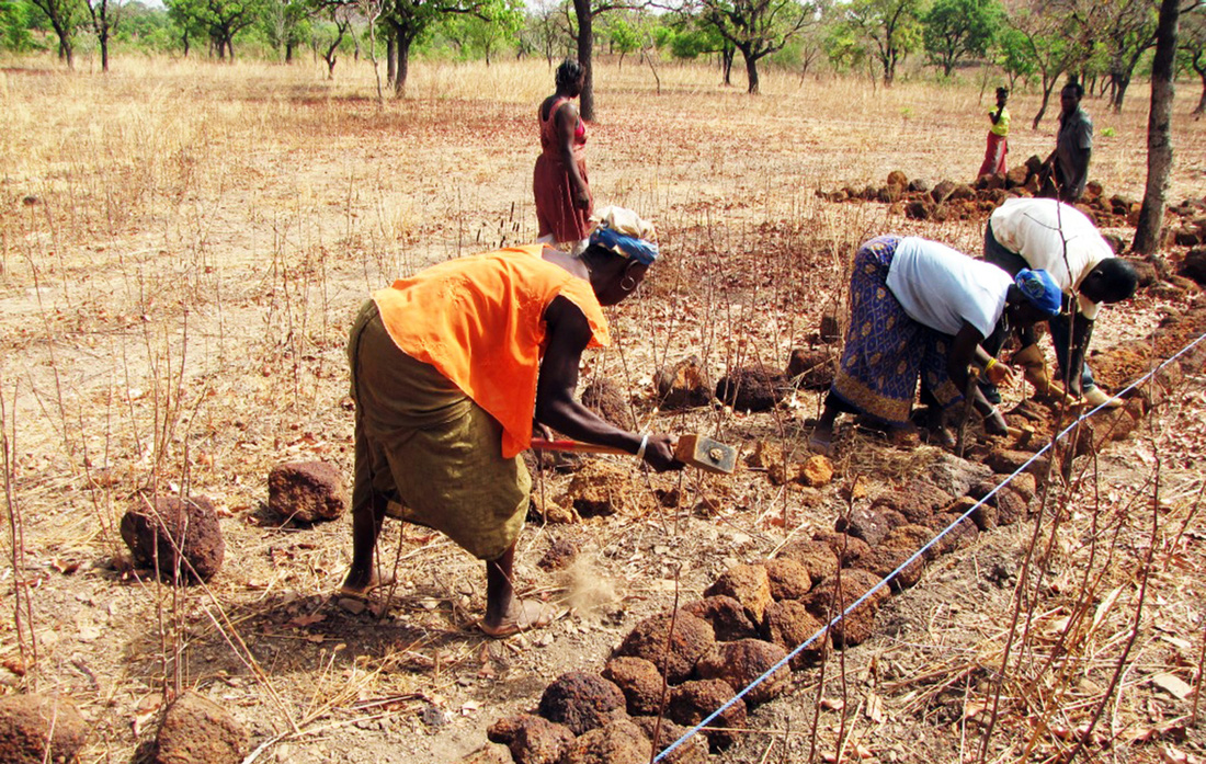 Bờ đá giữ ẩm cho đất tại Burkina Faso - Ảnh: farmerspost.wordpress.com