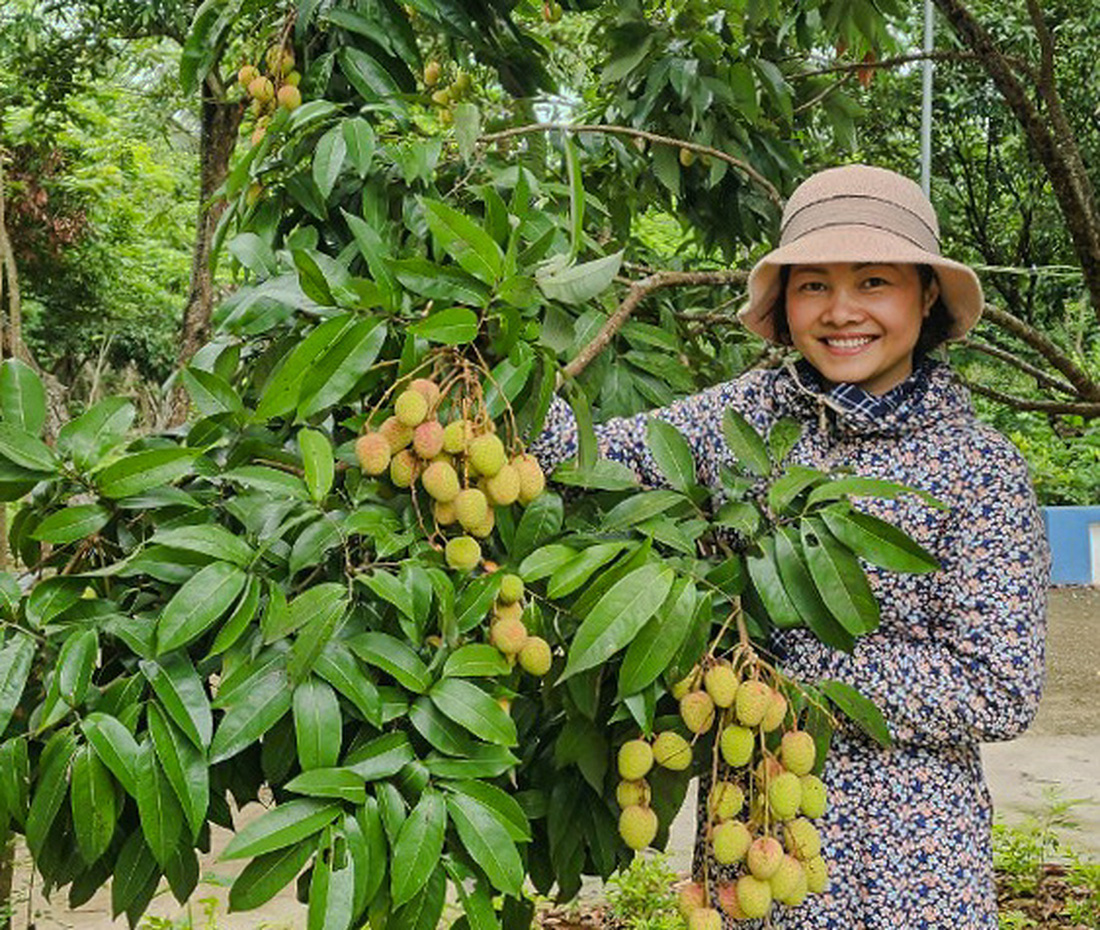 Du khách đến thăm vườn vải sớm ở Bắc Giang - Ảnh: THÀNH LÊ