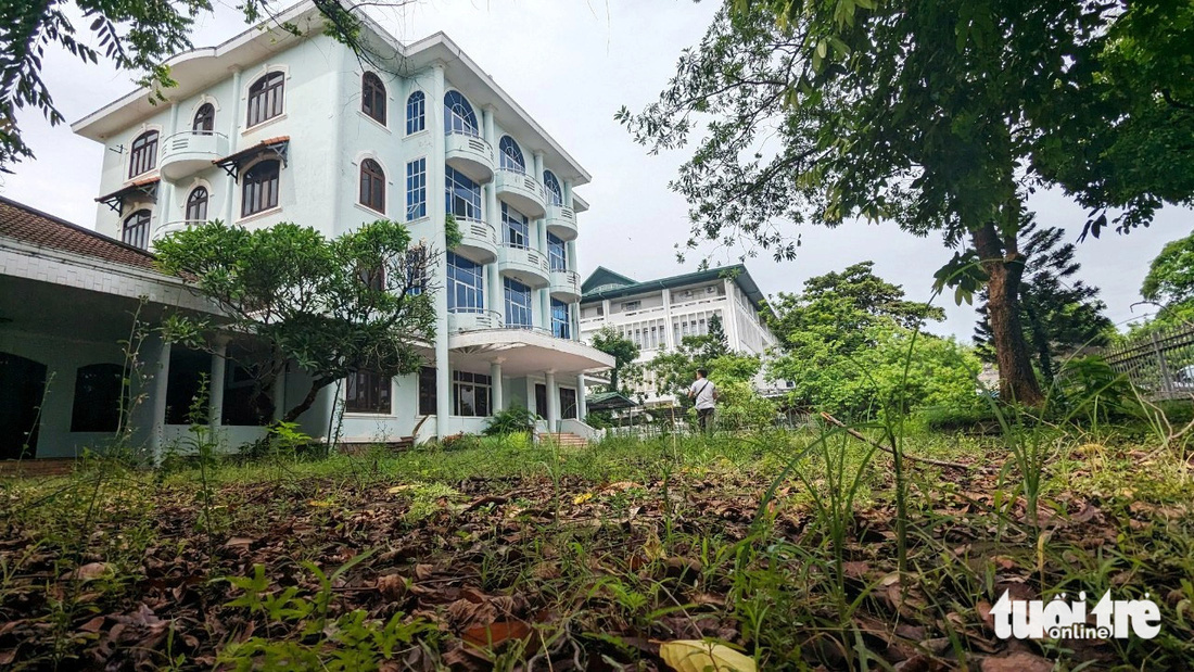 Trụ sở cũ của Sở Giáo dục và Đào tạo tỉnh Thừa Thiên Huế cỏ dại mọc đầy - Ảnh: NHẬT LINH