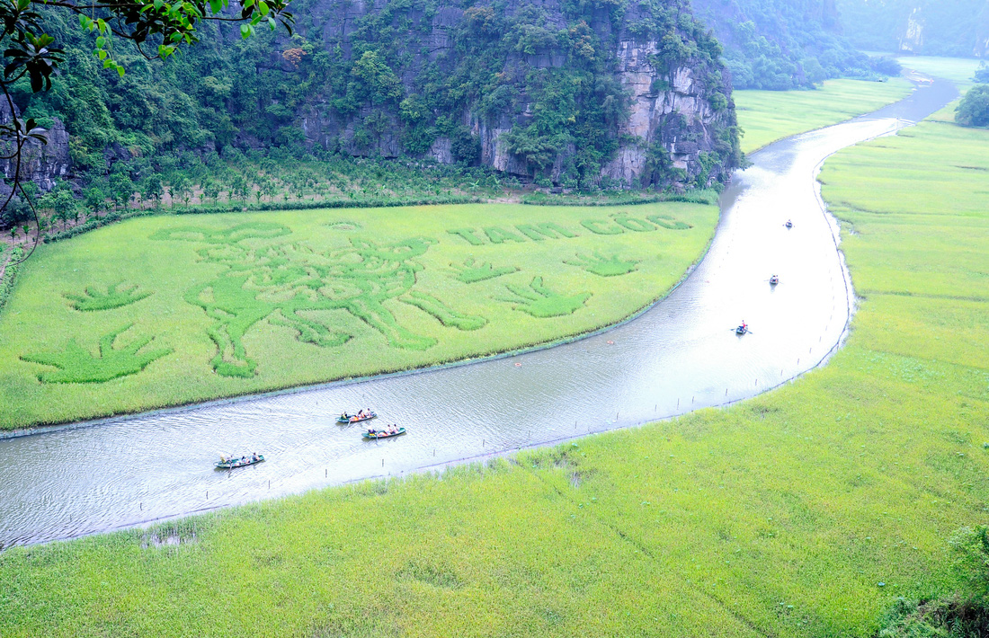 Bức tranh mục đồng thổi sáo nổi bật trên cánh đồng lúa Tam Cốc, tạo điểm nhấn cho Tuần lễ du lịch Ninh Bình 