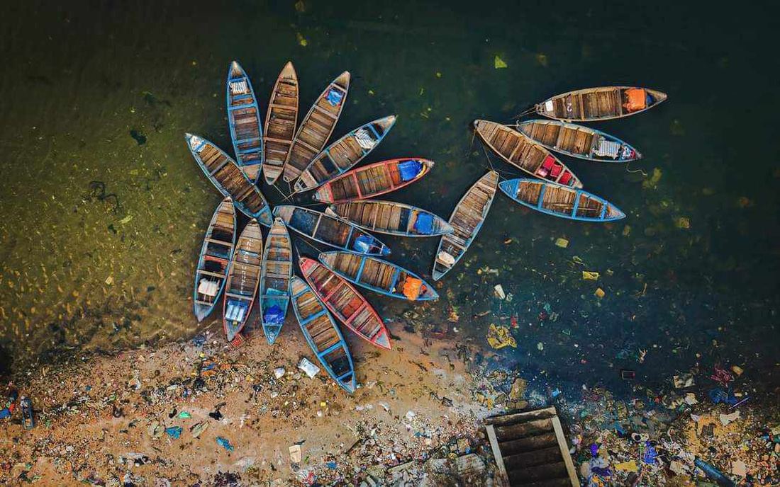 Bức ảnh Hoa thuyền giữa ô nhiễm - Ảnh: Alex Cao
