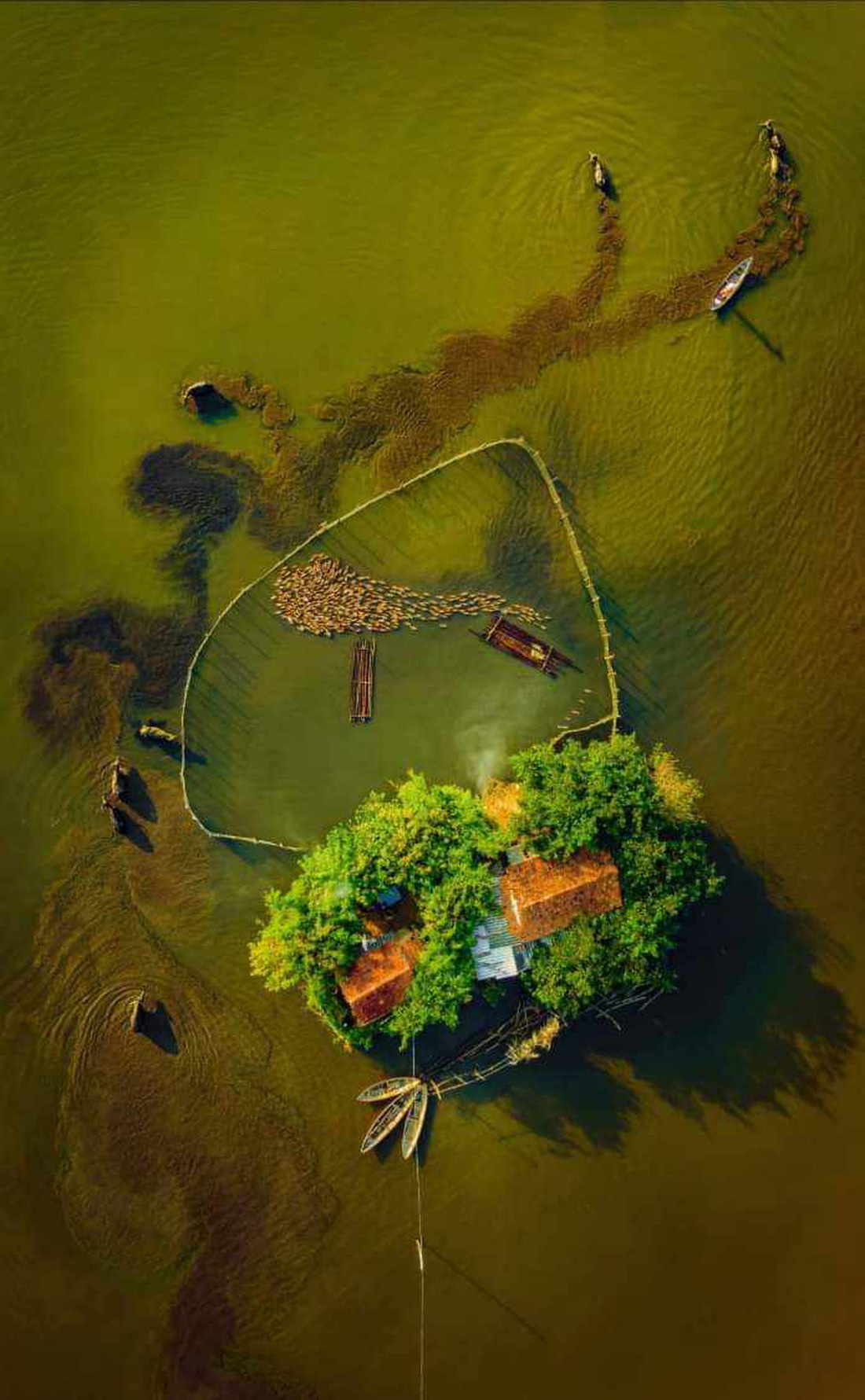 Tác phẩm Ngôi nhà hình trái tim giữa sông - Ảnh: Alex Cao