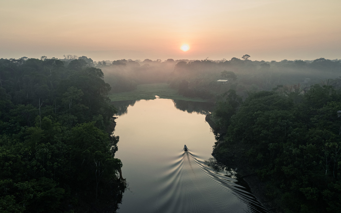 Một tấm ảnh được Dũng bấm máy ở rừng Amazon (Nam Mỹ)  - Ảnh nhân vật cung cấp