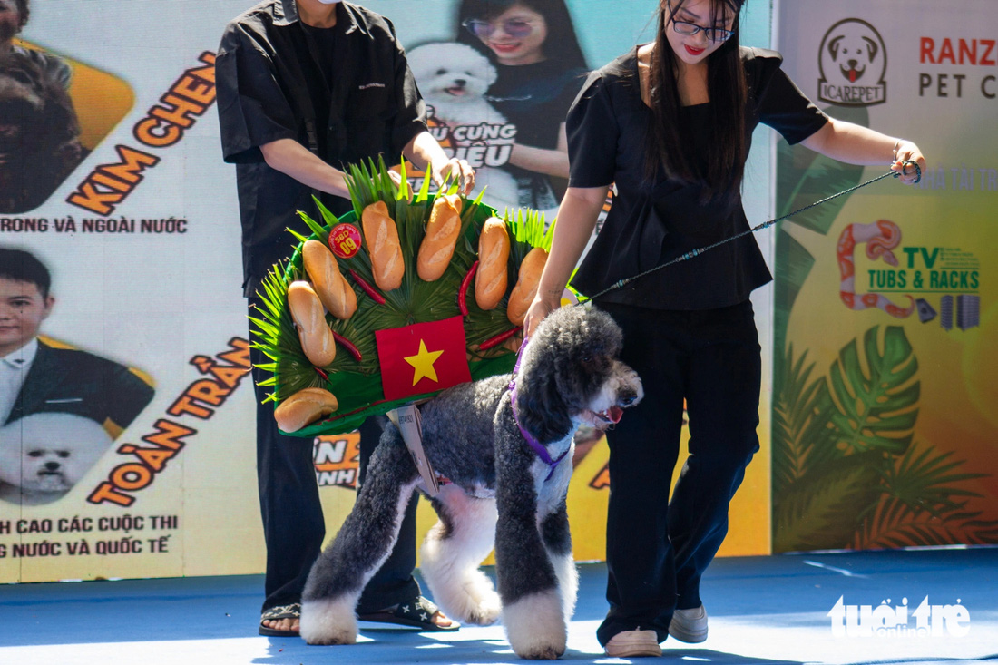 Chú chó số bảy là một chú chó giống puddle, diện thiết kế chủ đề bánh mì độc đáo, bắt mắt với thông điệp tôn vinh nền ẩm thực Việt Nam - Ảnh: TÔ CƯỜNG