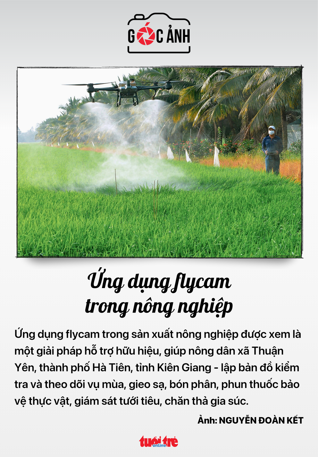Ứng dụng flycam trong nông nghiệp - Ảnh: NGUYỄN ĐOÀN KẾT