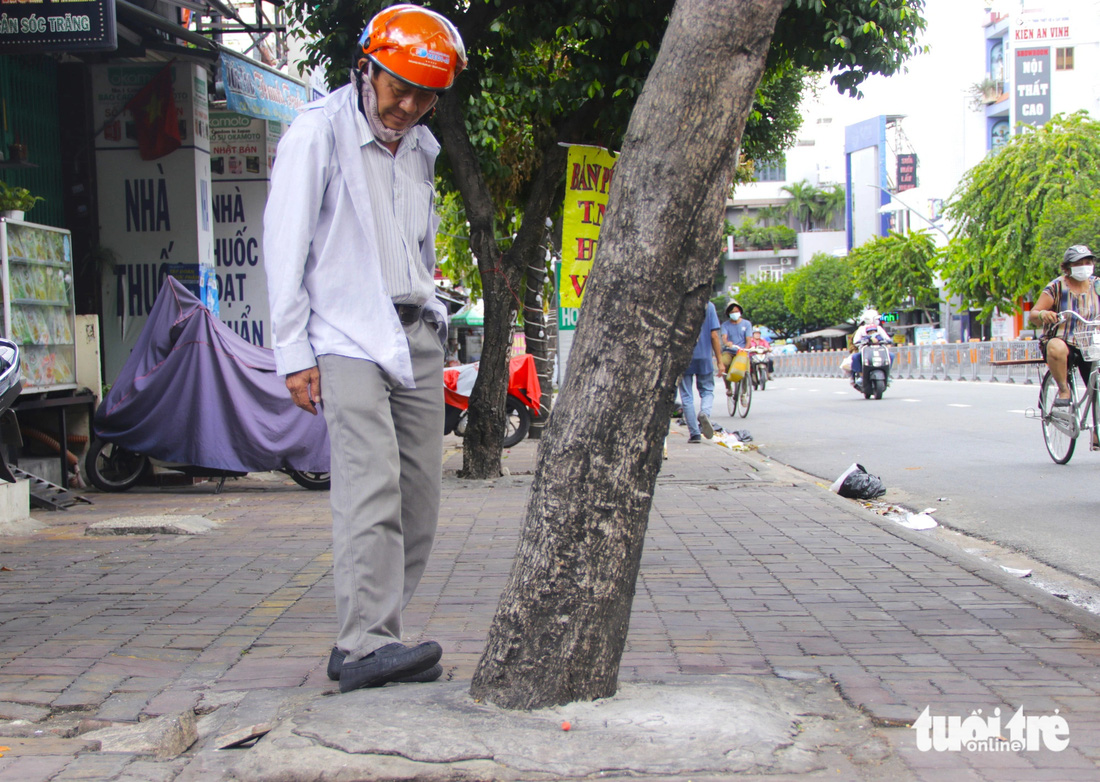 Người dân lo lắng hàng loạt cây xanh dọc hai bên đường Nguyễn Thái Sơn, TP.HCM bị bề mặt bê tông, gạch lát vỉa hè bóp nghẹt quanh gốc - Ảnh: TIẾN QUỐC