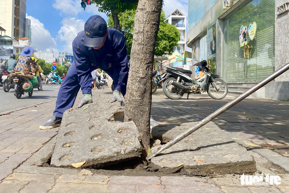 Tấm bê tông có độ dày khoảng 3-4cm nằm lì lâu ngày nên việc lấy lên gặp nhiều khó khăn - Ảnh: TIẾN QUỐC