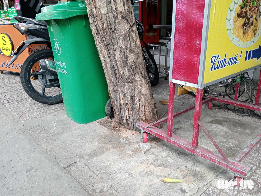 Gốc cây trên đường Bạch Đằng (quận Tân Bình) bị bao vây bởi bê tông, bảng hiệu - Ảnh: ĐỊNH DƯƠNG