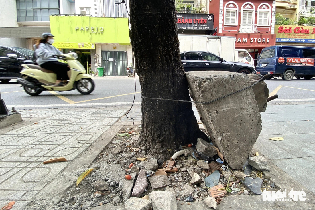 Một khối bê tông lớn cột chặt vào thân cây trên đường Hồ Văn Huê (quận Phú Nhuận, TP.HCM) - Ảnh: TIẾN QUỐC