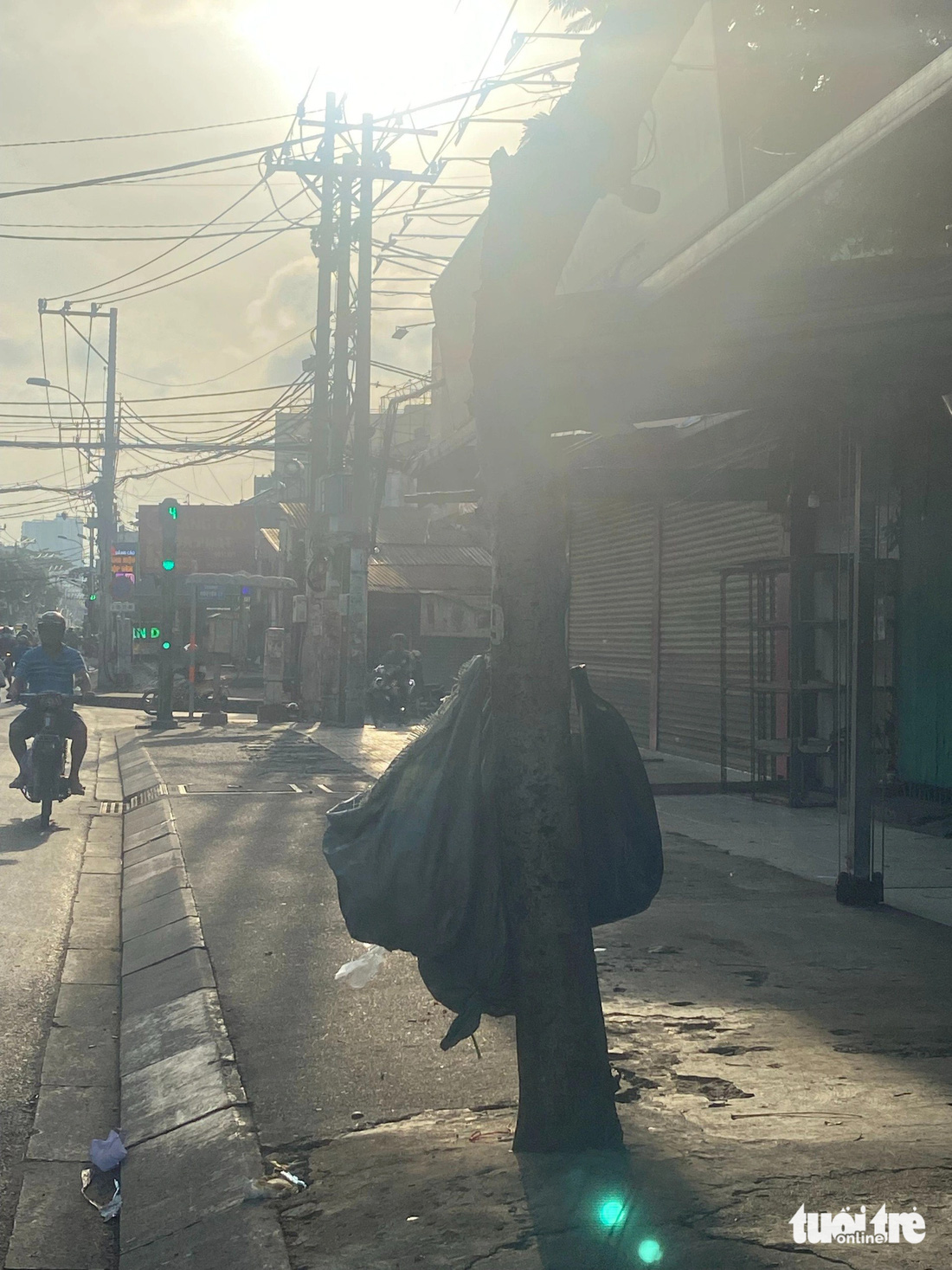 Đóng đinh vào cây xanh để treo các bao đựng rác trên đường Thoại Ngọc Hầu, quận Tân Phú - Ảnh: HỒNG ĐIỆP