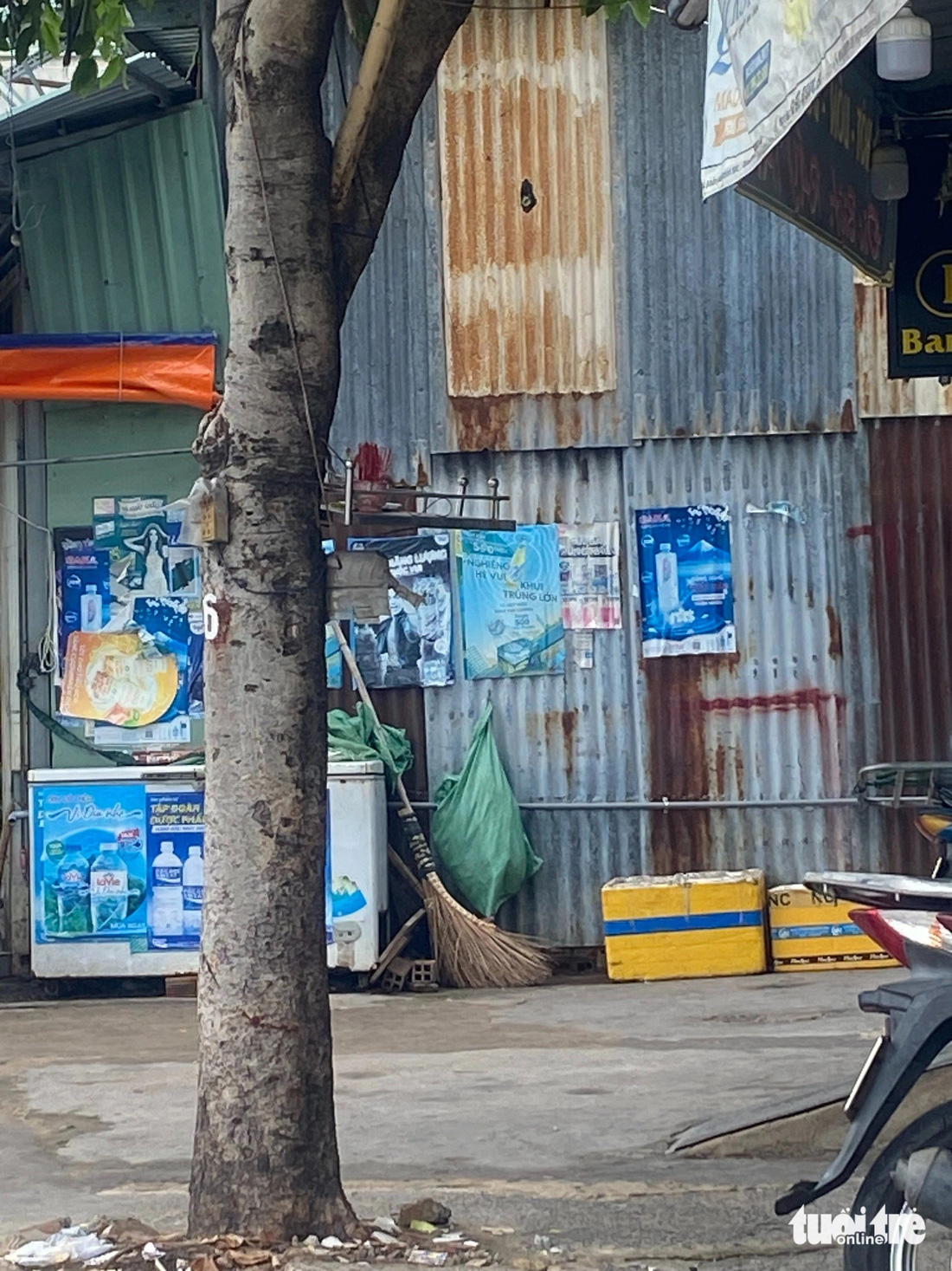 Treo "bàn ông Thiên" trên cây xanh ở đường Thoại Ngọc Hầu, quận Tân Phú - Ảnh: HỒNG ĐIỆP