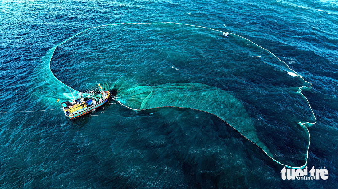 Tàu cá của ngư dân xã An Hòa Hải, huyện Tuy An (Phú Yên) bung lưới hứng mẻ cá cơm ngần