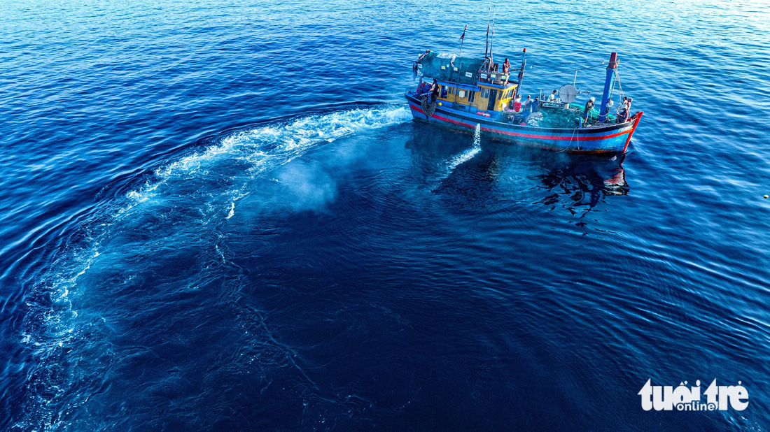 Con tàu cá bẻ cua tăng tốc dò theo luồng cá cơm, chuẩn bị quăng lưới