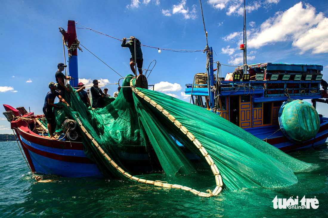Khoảnh khắc những ngư dân xã An Hòa Hải kéo mẻ cá cơm nặng lên con tàu