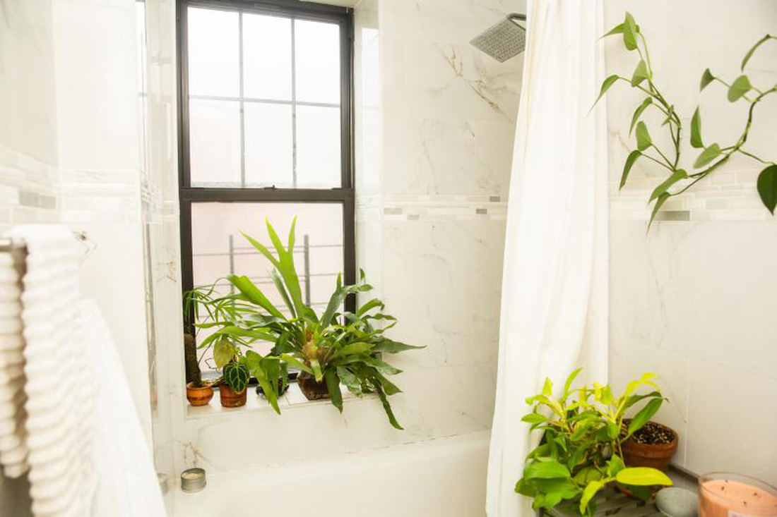 Cây dương xỉ và điểm nhấn trong phòng tắm - Ảnh: HGTV