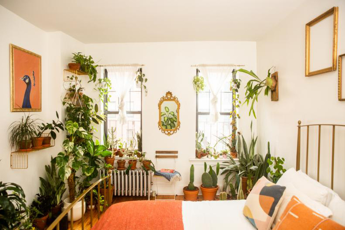 Phòng ngủ nhỏ đầy cây xanh với những điểm nhấn màu cam vui mắt - Ảnh: HGTV