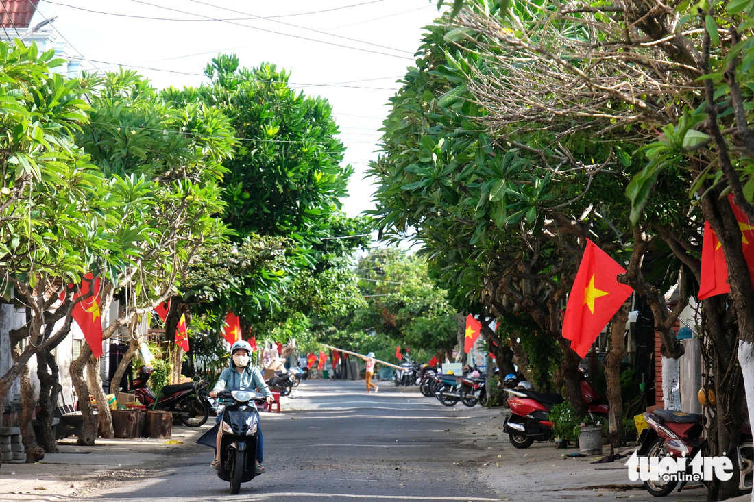 Những công trình tình nguyện giữ màu xanh trên đảo Phú Quý