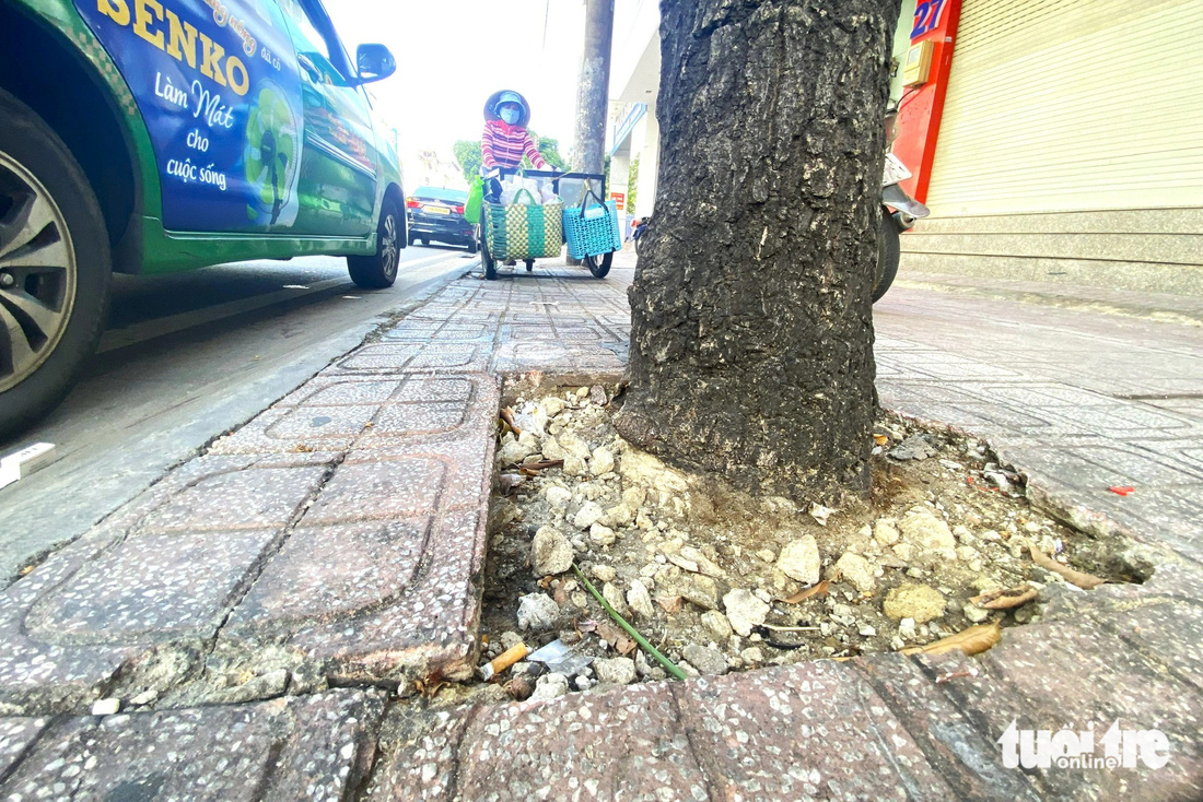 Đục bể gạch lát vỉa hè giải cứu cây xanh trên đường Hồ Văn Huê, quận Phú Nhuận, TP.HCM
