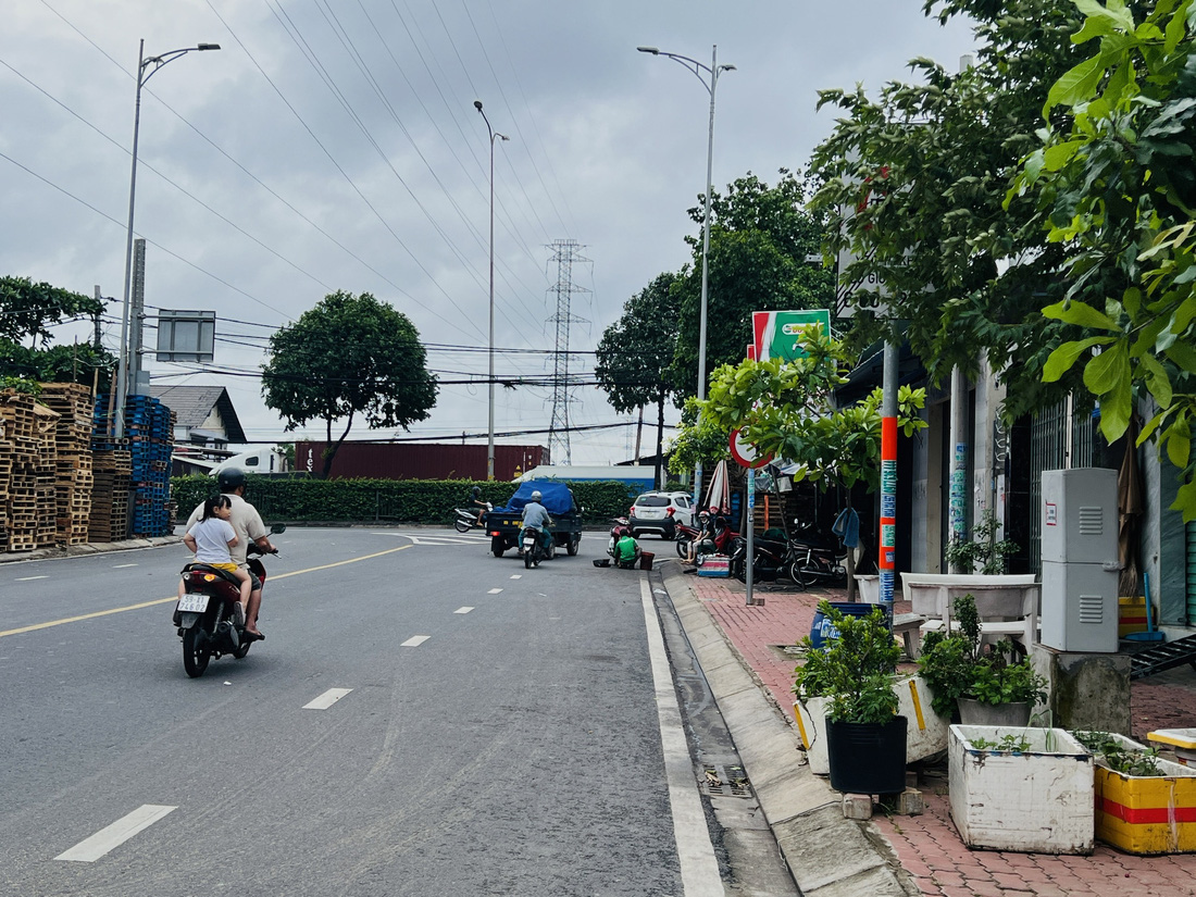 Biển kết thúc khu vực cấm xe giường nằm ở cuối đường Lê Văn Chí bị che khuất - Ảnh: XUÂN ĐOÀN