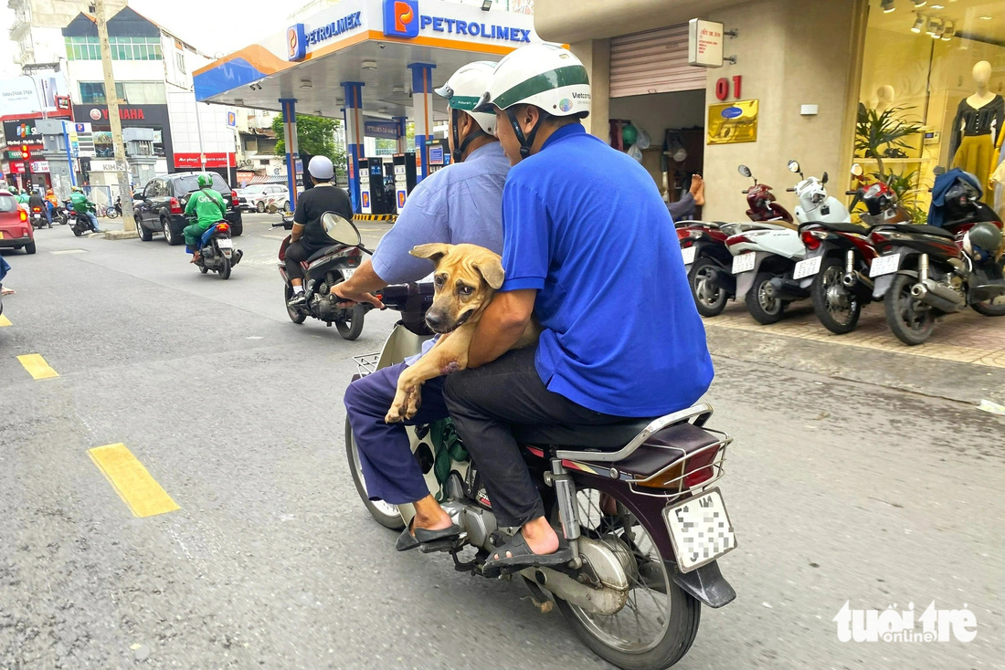 TP.HCM: Chở thú cưng đứng trên xe máy phóng vun vút, quá nguy hiểm- Ảnh 4.