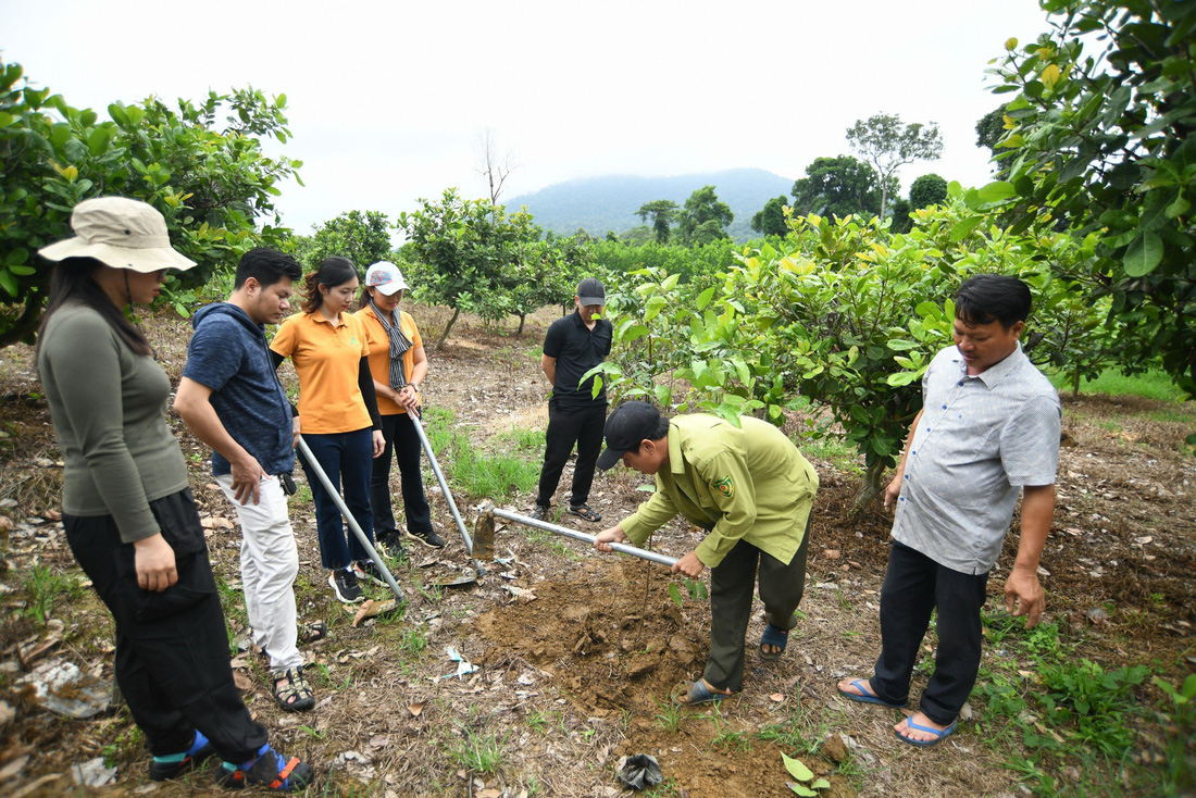 Cán bộ Hạt Kiểm lâm Khu bảo tồn thiên nhiên Núi Ông hướng dẫn các tình nguyện viên của "Việt Nam Xanh" cách trồng cây - Ảnh: QUANG ĐỊNH