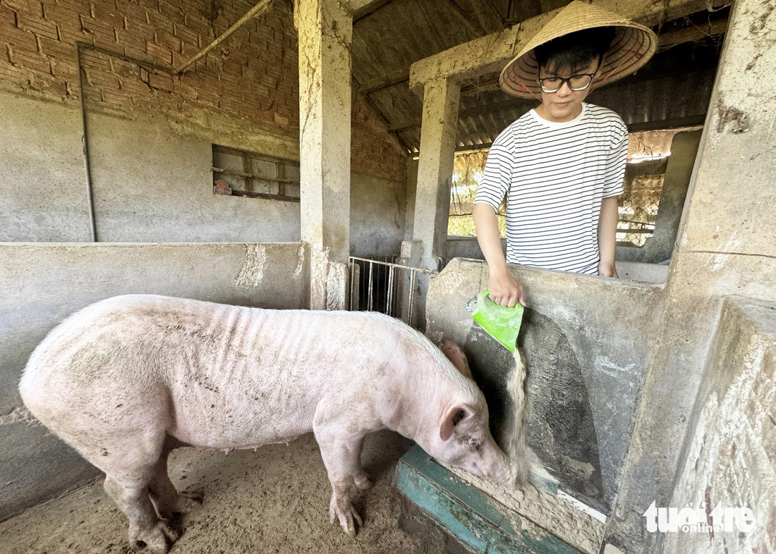 Tiếp sức đến trường: Hai người mẹ quần quật giữa đời, hai HS giỏi tỉnh tiến vào Bách khoa Đà Nẵng- Ảnh 1.