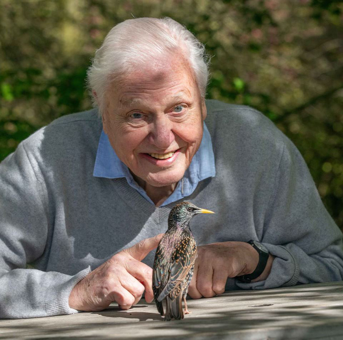 Sir David Attenborough lại kể về thế giới bí mật của muôn loài - Ảnh 2.