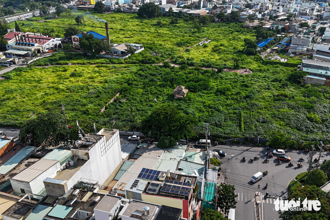 Phần đất quy hoạch xây dựng trường tiểu học tại nghĩa trang Bình Hưng Hòa đã hoàn thành bốc mộ, cỏ mọc xanh um tùm