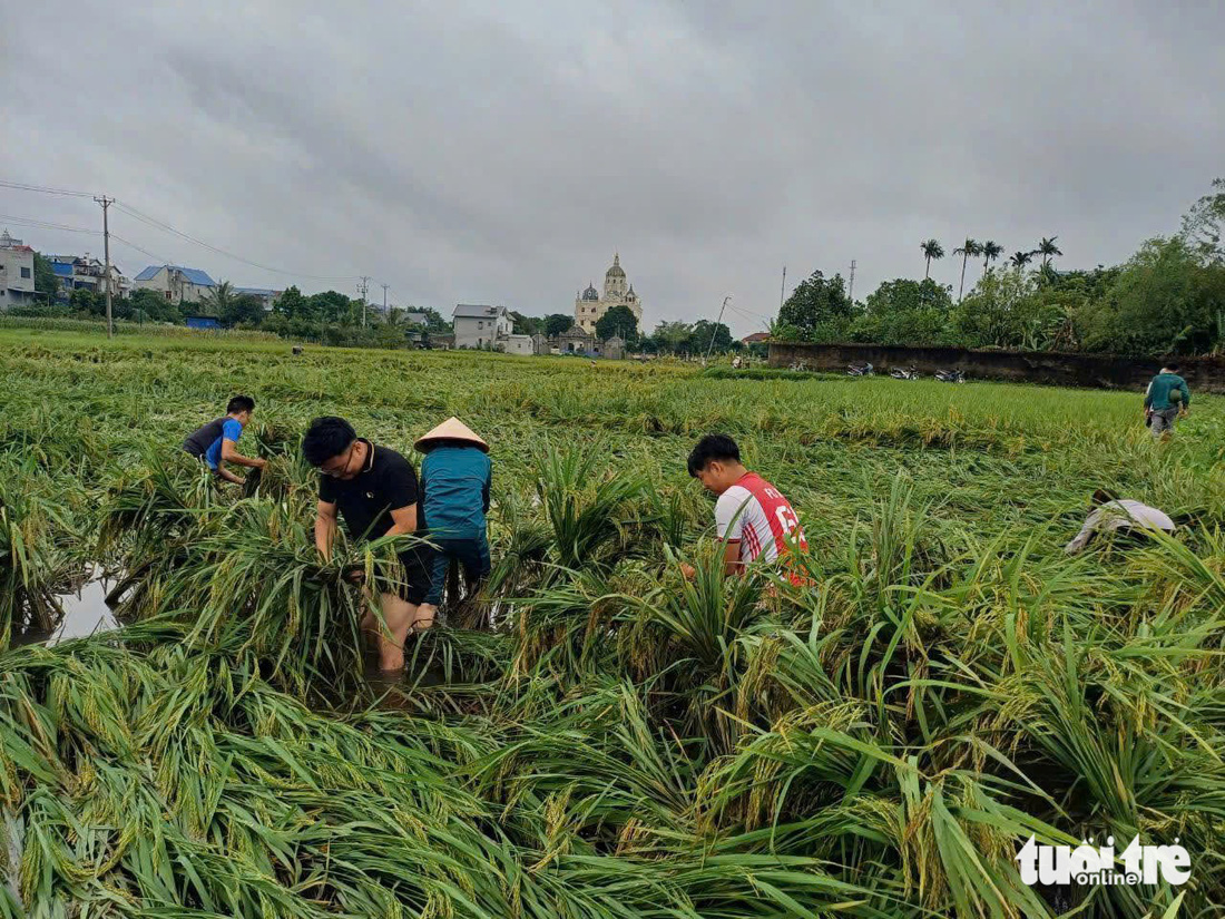 Phố lũ Thái Nguyên về cuộc sống thường ngày - Ảnh 10.