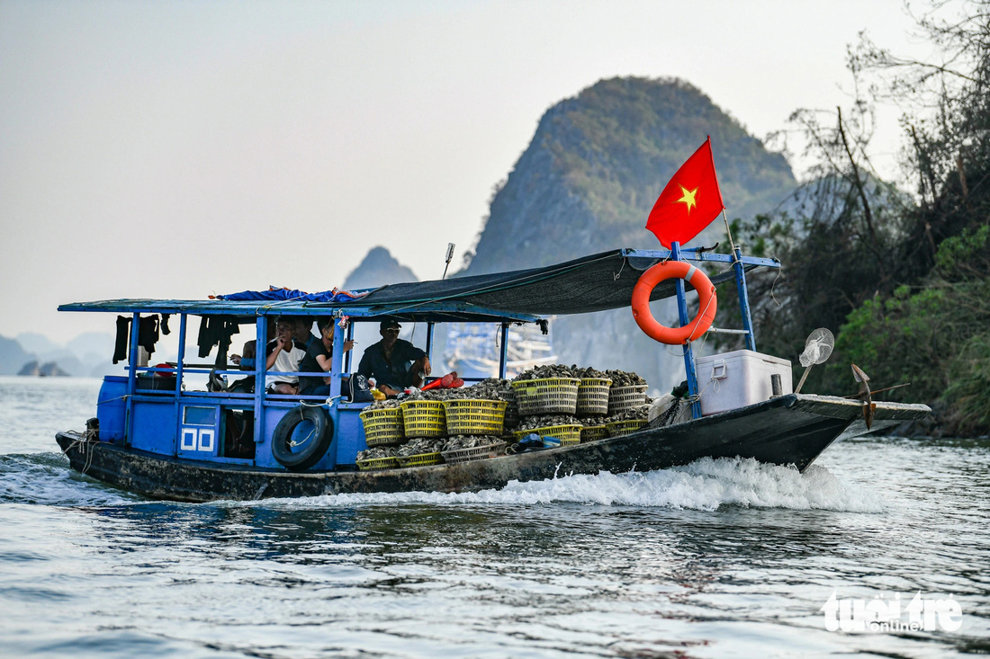 Biển Vân Đồn ‘hồi sinh’ sau bão - Ảnh 1.