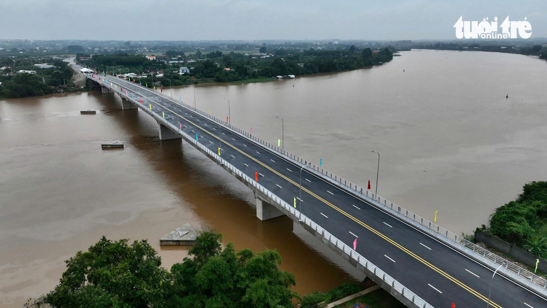 Cầu Bạch Đằng 2 nối Bình Dương và Đồng Nai chính thức thông xe - Ảnh 1.