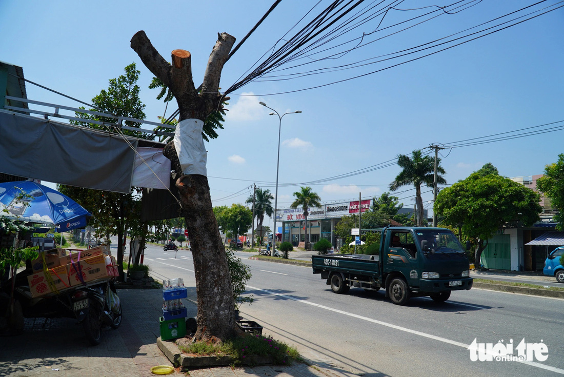 Cắt trọc cây xanh đường quốc lộ 1: Chủ đầu tư nói bão vào cây ngã xuống, ai mệt? - Ảnh 1.