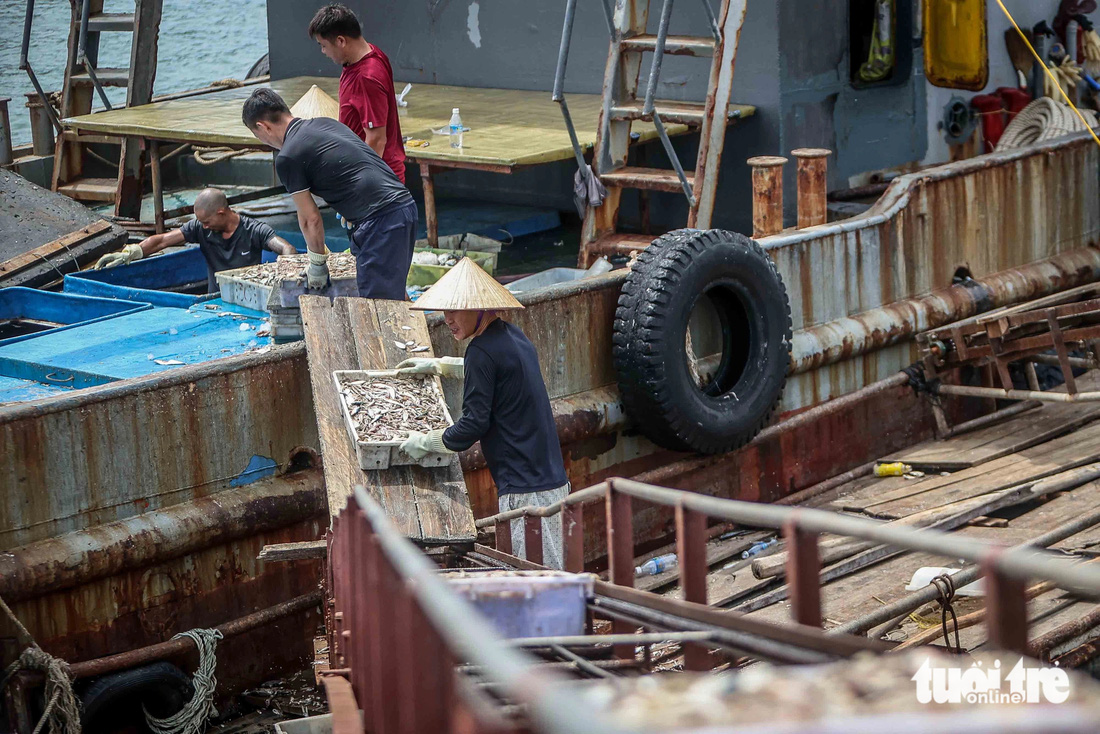 Nơi siêu bão Yagi dự kiến đổ bộ: Dùng cần cẩu kéo ca nô lên bờ, gia cố lại nhà cửa phòng chống bão - Ảnh 5.